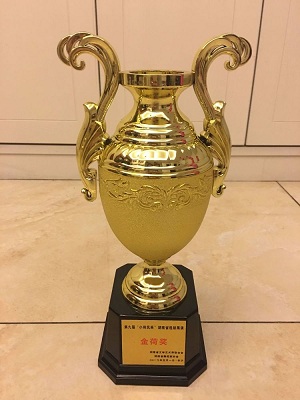 獲獎榮譽