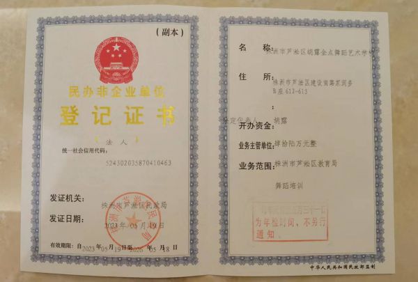 株洲露露舞蹈藝術(shù)學(xué)校|胡露金點(diǎn)舞蹈藝術(shù)學(xué)校