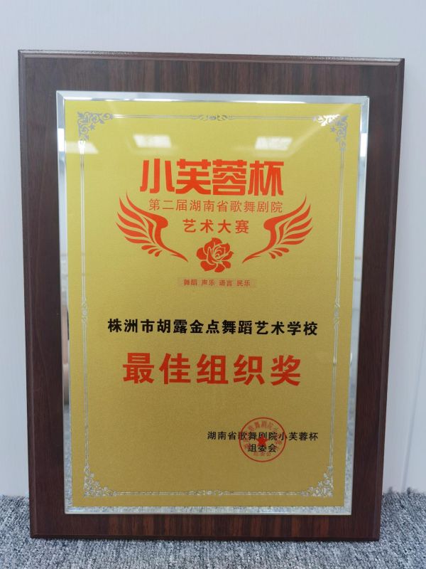 株洲市蘆淞區(qū)胡露金點舞蹈藝術(shù)學校 （原露露舞蹈藝術(shù)學校）,株洲舞蹈學校，株洲舞蹈培訓，少兒舞蹈培訓學校